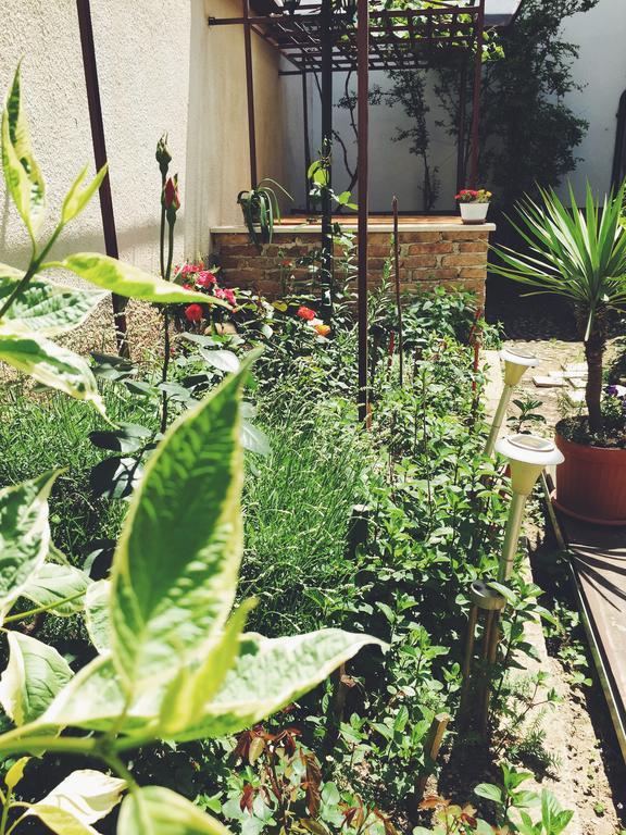 Guest House Nizama'S Place Σαράγεβο Εξωτερικό φωτογραφία
