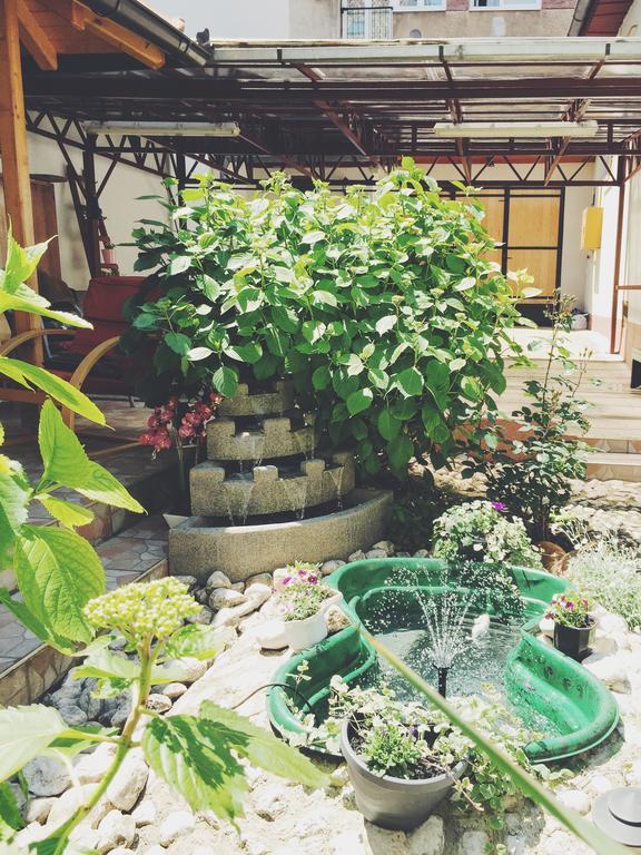 Guest House Nizama'S Place Σαράγεβο Εξωτερικό φωτογραφία